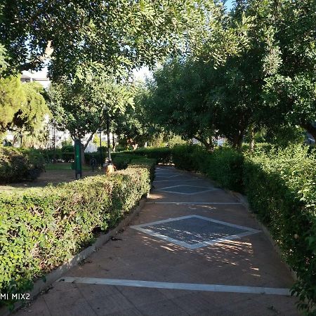 אתונה Beautiful House In Alimos Near To The Beach And Metro מראה חיצוני תמונה